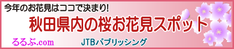 お花見