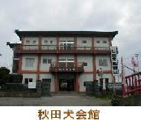 観光1