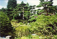 観光4