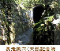 観光10